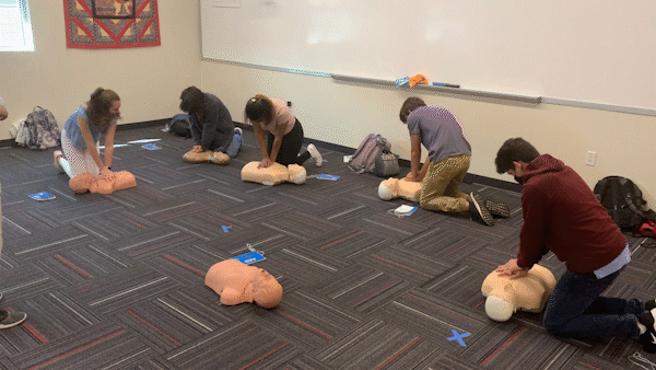 CPR video_1