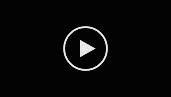 TS Video